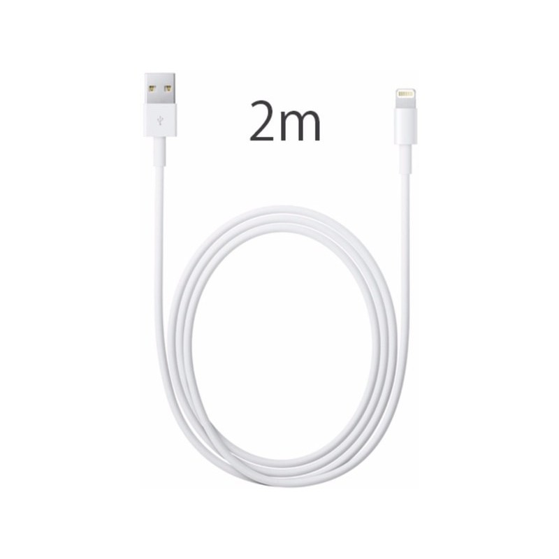Apple Câble Lightning vers USB 2m