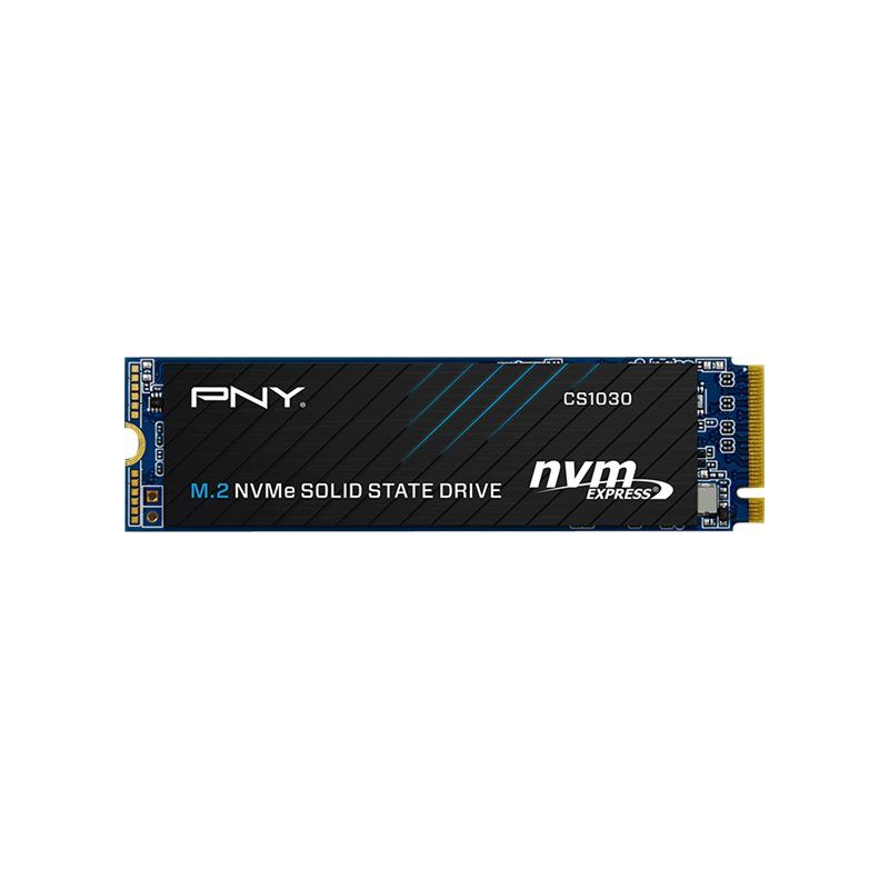 PNY NVMe PCIe Gen3 250 Go