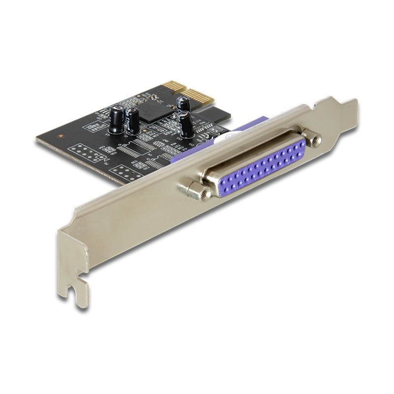 Visuel de la carte PCI Express Delock