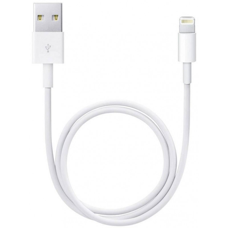 Apple iPod/iPhone/iPad Câble chargeur